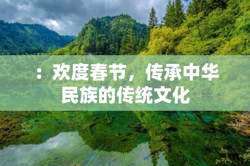 ：欢度春节，传承中华民族的传统文化