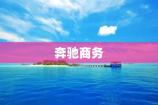 奔驰商务:为高端商务人士打造的专属座驾 奔驰商务:为高端商务人士打造的专属座驾