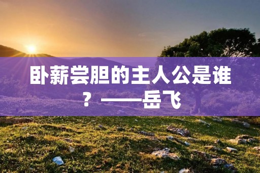 卧薪尝胆的主人公是谁?——岳飞 卧薪尝胆的主人公是谁?——岳飞