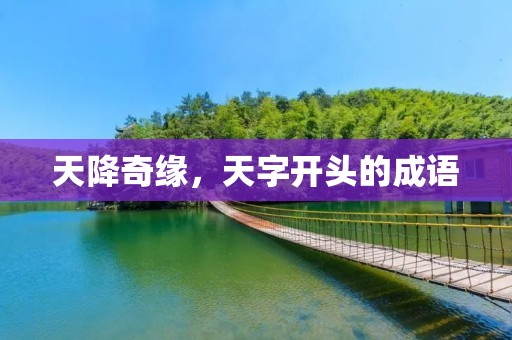 天降奇缘,天字开头的成语 天降奇缘,天字开头的成语