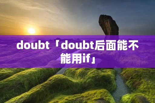 doubt「doubt后面能不能用if」
