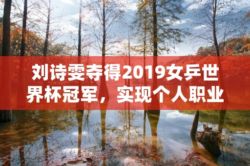 刘诗雯夺得2019女乒世界杯冠军，实现个人职业生涯大满贯