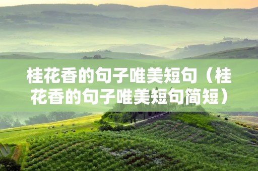 桂花香的句子唯美短句(桂花香的句子唯美短句简短)