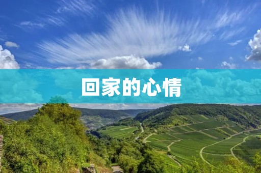 回家的心情:久别重逢的感动