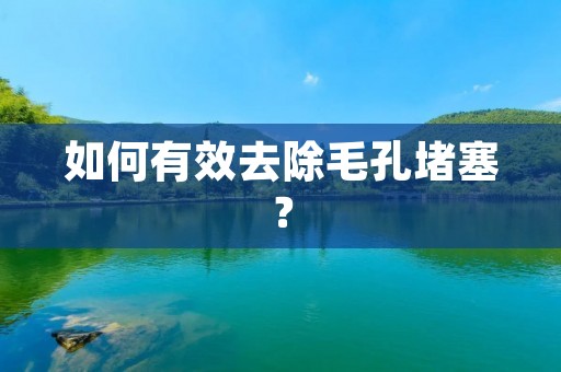 如何有效去除毛孔堵塞? 如何有效去除毛孔堵塞?