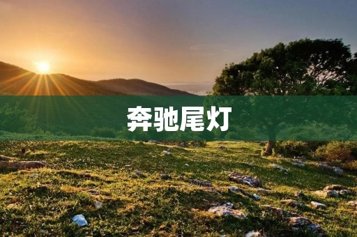 奔驰尾灯:高端豪华车的典雅设计 奔驰尾灯:高端豪华车的典雅设计