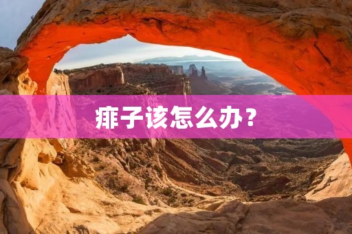 痱子该怎么办? 痱子该怎么办?