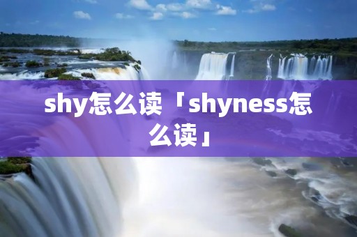 shy怎么读「shyness怎么读」