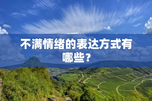 不满情绪的表达方式有哪些？