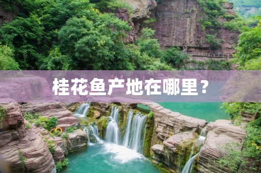桂花鱼产地在哪里?