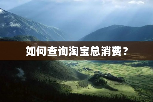 如何查询淘宝总消费? 如何查询淘宝总消费?