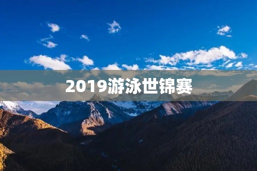 2019游泳世锦赛：中国游泳再次崛起
