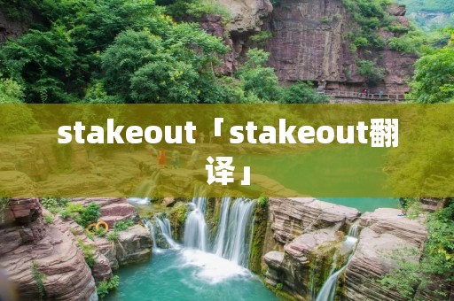 stakeout「stakeout翻译」