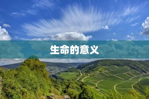生命的意义