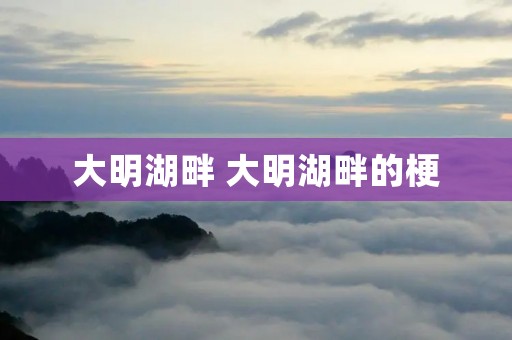大明湖畔 大明湖畔的梗