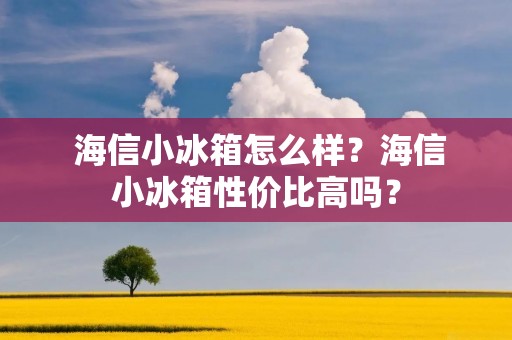  海信小冰箱怎么样？海信小冰箱性价比高吗？