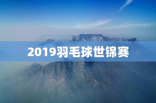 2019羽毛球世锦赛:中国队斩获四金 2019羽毛球世锦赛:中国队斩获四金