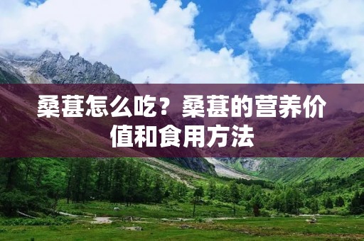 桑葚怎么吃？桑葚的营养价值和食用方法