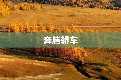 奔腾轿车:中国汽车品牌的骄傲 奔腾轿车:中国汽车品牌的骄傲