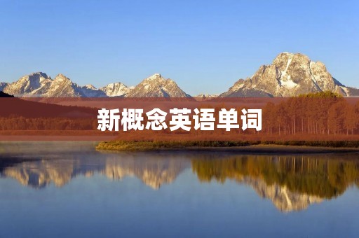 新概念英语单词：提高英语词汇量的必备工具