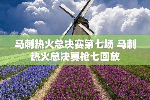 马刺热火总决赛第七场 马刺热火总决赛抢七回放 马刺热火总决赛第七场 马刺热火总决赛抢七回放