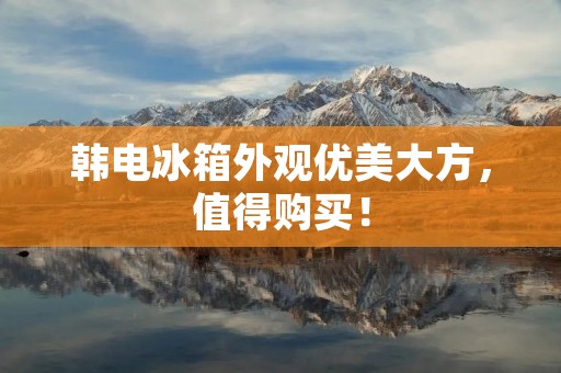 韩电冰箱外观优美大方，值得购买！