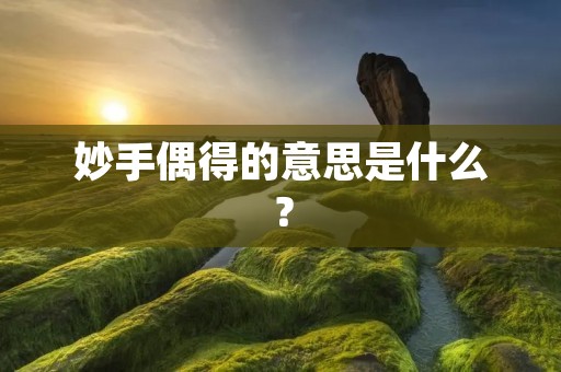 妙手偶得的意思是什么? 妙手偶得的意思是什么?