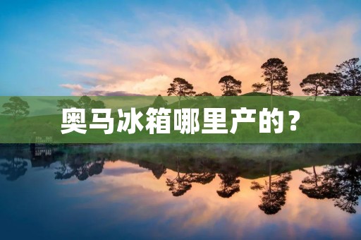 奥马冰箱哪里产的？