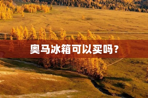 奥马冰箱可以买吗？