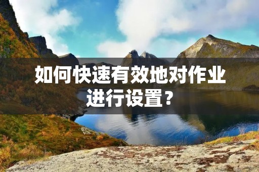 如何快速有效地对作业进行设置？