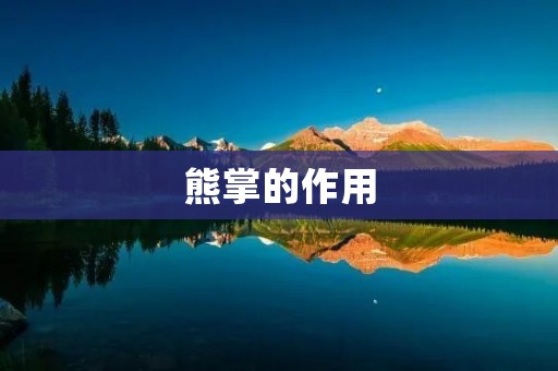 熊掌的作用