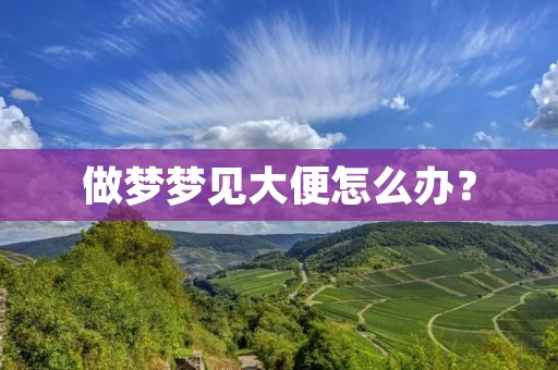 做梦梦见大便怎么办？