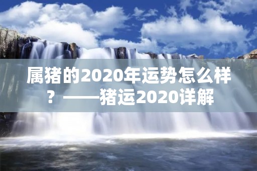 属猪的2020年运势怎么样？——猪运2020详解