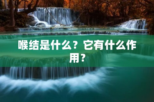 喉结是什么？它有什么作用？