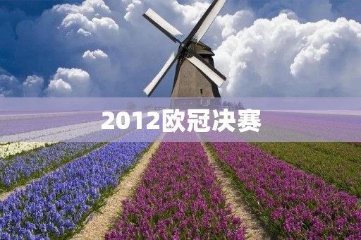 2012欧冠决赛：切尔西夺冠
