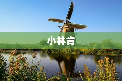 小林肯:美国著名总统林肯的少年时代 小林肯:美国著名总统林肯的少年时代