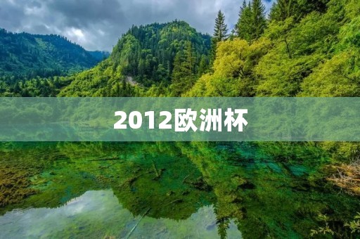 2012欧洲杯:西班牙夺冠,C罗成为最佳射手 2012欧洲杯:西班牙夺冠,C罗成为最佳射手