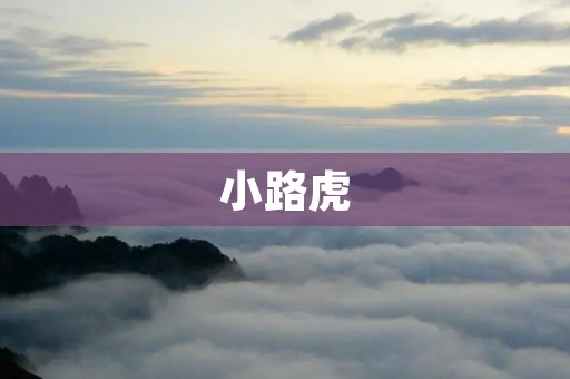 小路虎:一款经典越野车的传奇之路 小路虎:一款经典越野车的传奇之路