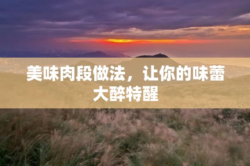 美味肉段做法,让你的味蕾大醉特醒 美味肉段做法,让你的味蕾大醉特醒