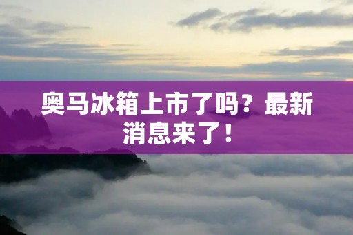 奥马冰箱上市了吗？最新消息来了！