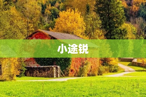 小途锐:一款高性能的小型SUV 小途锐:一款高性能的小型SUV