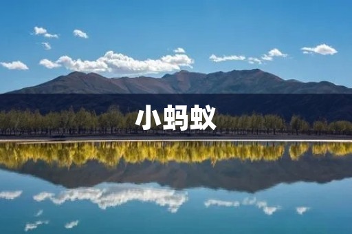 小蚂蚁:微小却伟大的生命力 小蚂蚁:微小却伟大的生命力