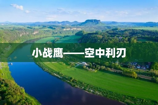 小战鹰——空中利刃