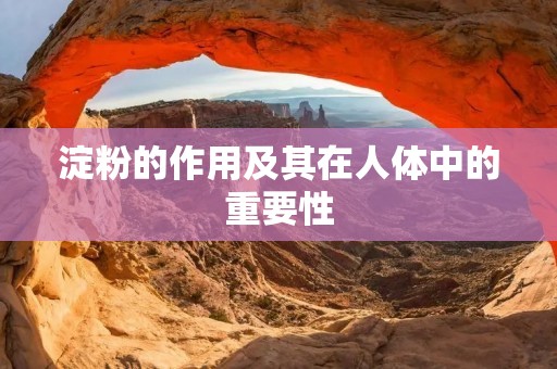 淀粉的作用及其在人体中的重要性 淀粉的作用及其在人体中的重要性