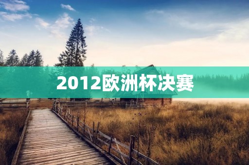 2012欧洲杯决赛：西班牙VS意大利