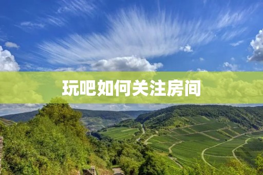  玩吧如何关注房间 
