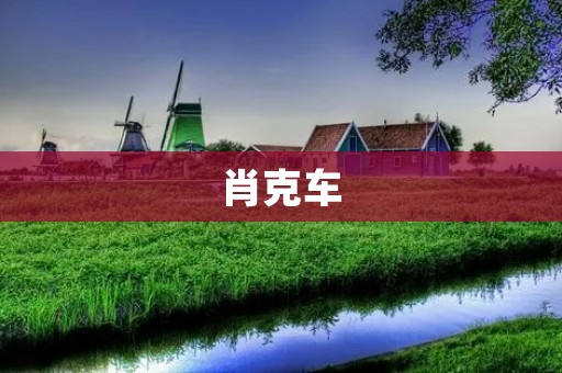 肖克车：一款革命性的交通工具