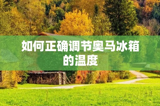 如何正确调节奥马冰箱的温度 如何正确调节奥马冰箱的温度