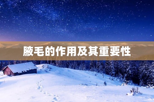 腋毛的作用及其重要性 腋毛的作用及其重要性