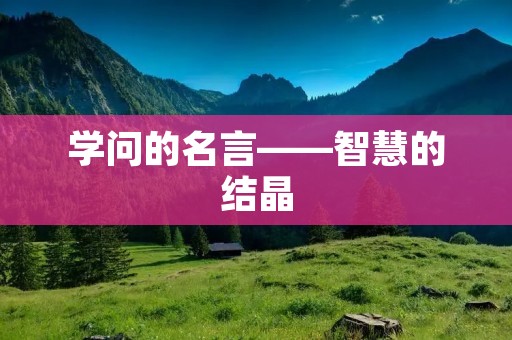 学问的名言——智慧的结晶